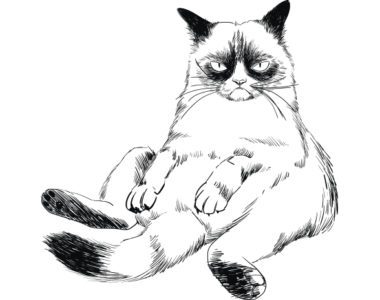 Grumpy Cat, a popular meme