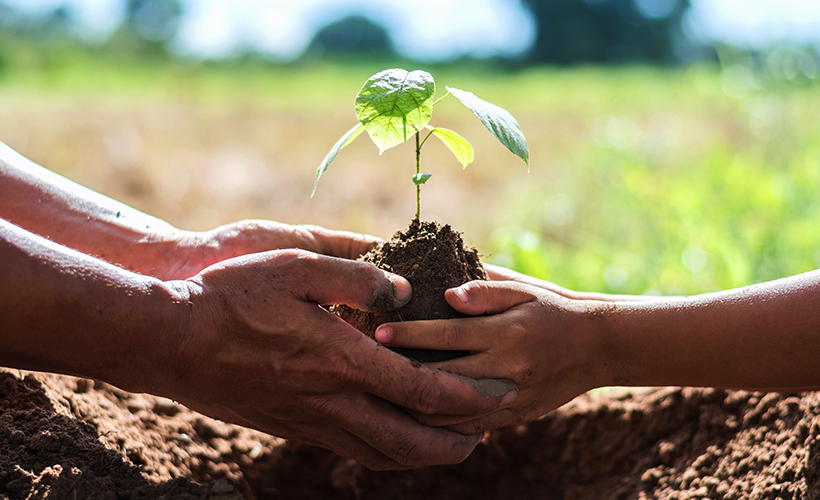 The hands of a child and an adult both planting a sprouting plant, representative of Earth Day