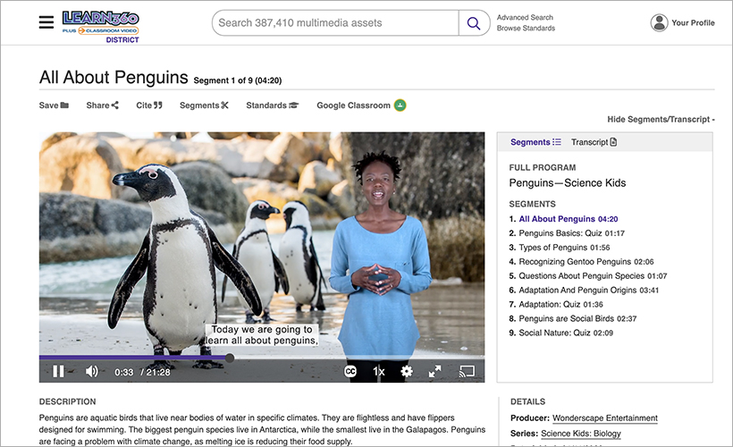 All About Penguins on Learn360
