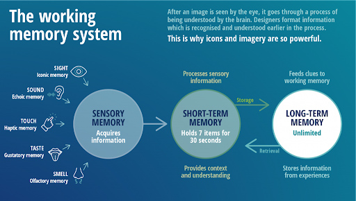 The Working Memory System graphic