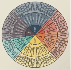 Emotion Wheel