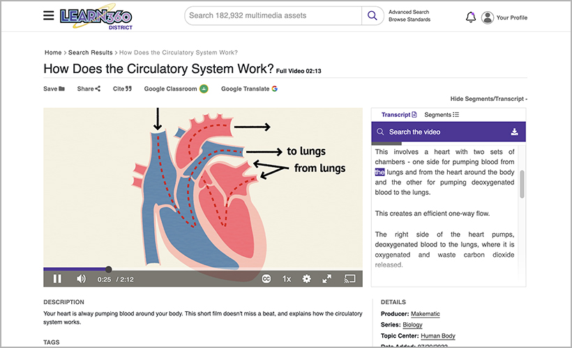 "How Does the Circulatory System Work?" available from Learn360