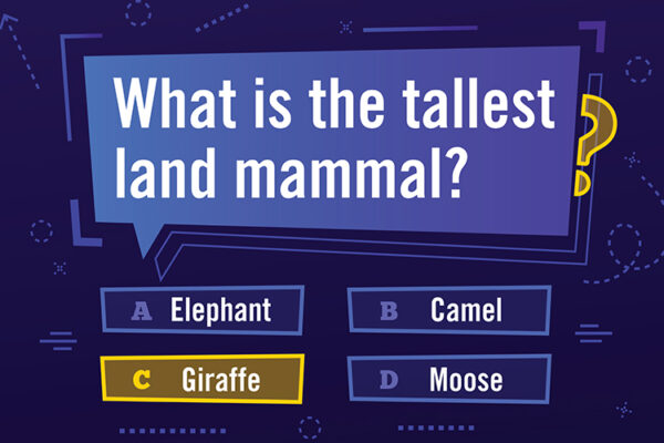 Trivia question: "What is the tallest land mammal?"