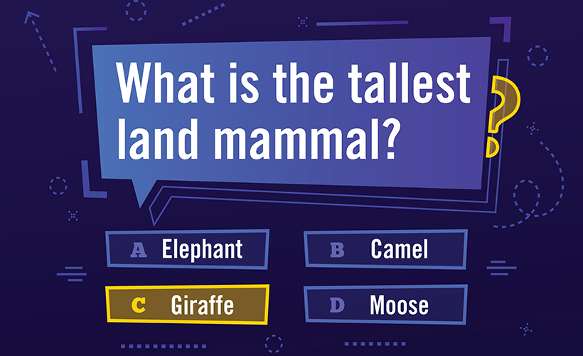Trivia question: "What is the tallest land mammal?"