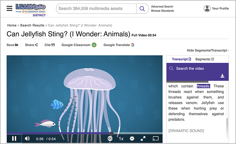 “Can Jellyfish Sting?” from Learn360