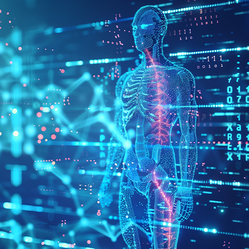 Virtual anantomy